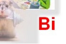 Bi