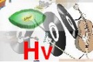 Hv